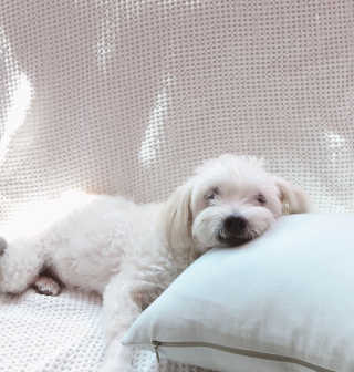 아이린지니님이 올린 리뷰 사진 3
