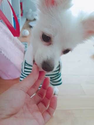YouReena님이 올린 리뷰 사진 2