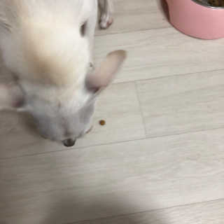 임혜은님이 올린 리뷰 사진 3