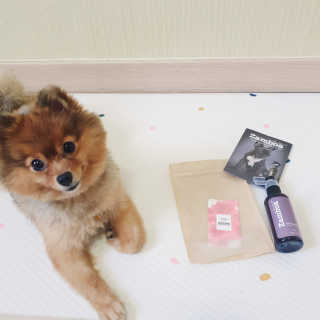 은선이짱님이 올린 리뷰 사진 1