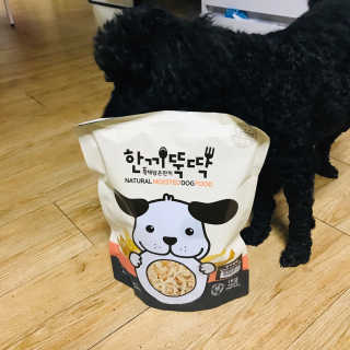 [펫토리아] 맛도 영양도 BEST 한끼뚝딱 강아지 사료 — 5점을 준 리뷰어가 2019년 4월 올린 사용 사진