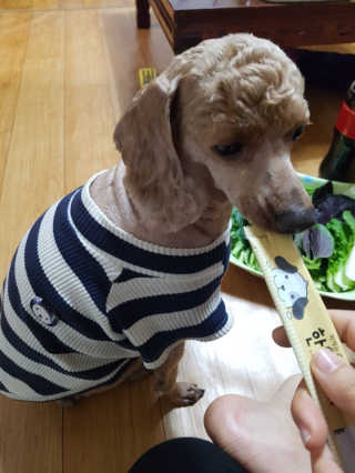 JoyNa님이 올린 리뷰 사진 4