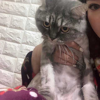 난폭강쥐님이 올린 리뷰 사진 3