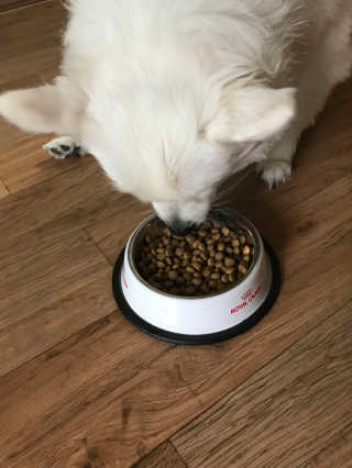 진진님이 올린 리뷰 사진 2