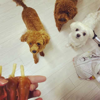 칸쵸님이 올린 리뷰 사진 1