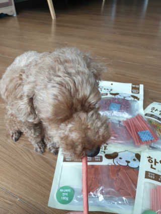 펫토리아 한입뚝딱 국내산 강아지간식 BEST 5종 — 5점을 준 리뷰어가 2019년 5월 올린 사용 사진