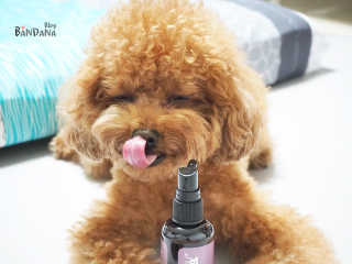 최정임님이 올린 리뷰 사진 4