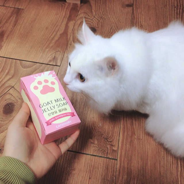캣츠모리 산양유 젤리솝 리뷰 사진