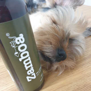 Rooloo님이 올린 리뷰 사진 2