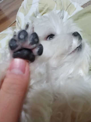 탤찡님이 올린 리뷰 사진 4