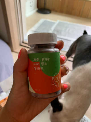 [어글어글] 반려견 친환경 간식 9종 세트 — 5점을 준 리뷰어가 2019년 8월 올린 사용 사진