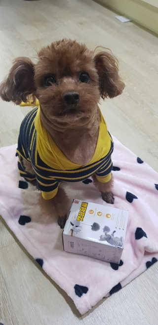 희야님이 올린 리뷰 사진 1