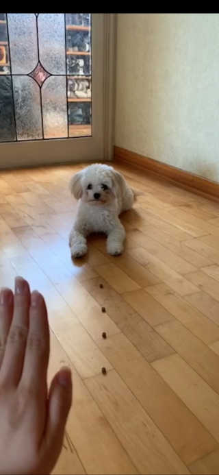 이주현님이 올린 리뷰 사진 1