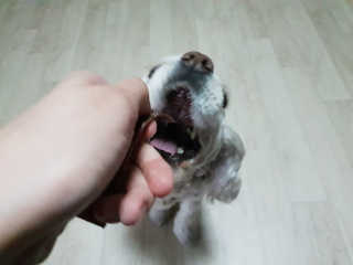 SohyeonLee님이 올린 리뷰 사진 4