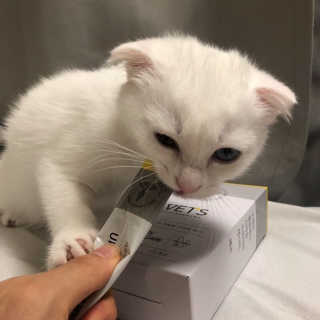 kittyiris님이 올린 리뷰 사진 2