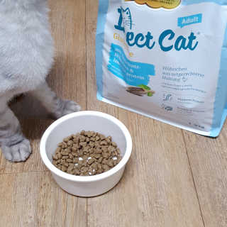 그린펫푸드 인섹트캣 글루텐프리（1.2KG） — 5점을 준 리뷰어가 2019년 9월 올린 사용 사진