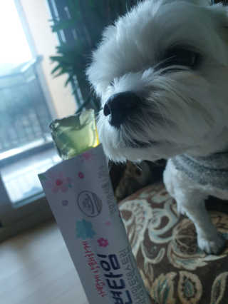 보나님이 올린 리뷰 사진 3