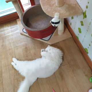 영니님이 올린 리뷰 사진 4