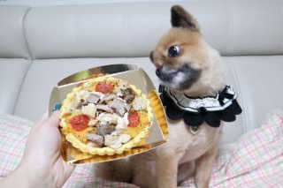 꿀냥이님이 올린 리뷰 사진 1