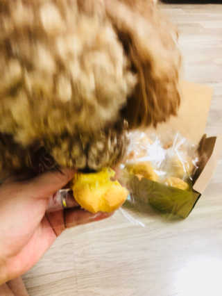 공블리님이 올린 리뷰 사진 2