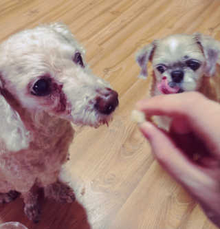 슬기네스님이 올린 리뷰 사진 4