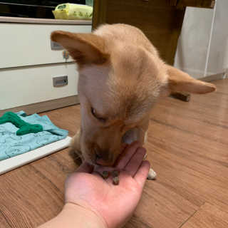 보리언니님이 올린 리뷰 사진 3
