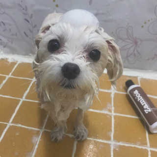 쌔쌔님이 올린 리뷰 사진 2