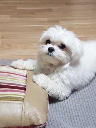 다이아몬드kim님이 올린 리뷰 사진 2