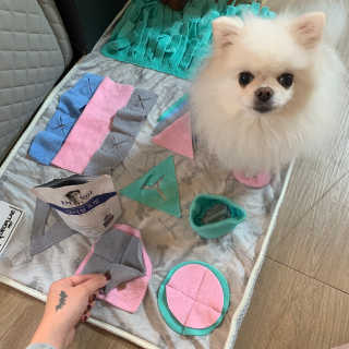 보라미90님이 올린 리뷰 사진 4