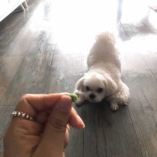 아윤아린맘님이 올린 리뷰 사진 1