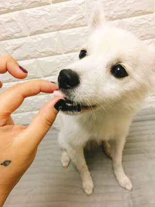 버내노님이 올린 리뷰 사진 2