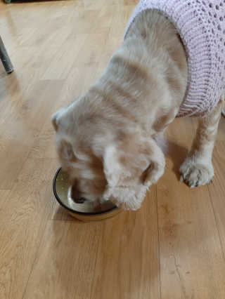 짱아둥이님이 올린 리뷰 사진 3