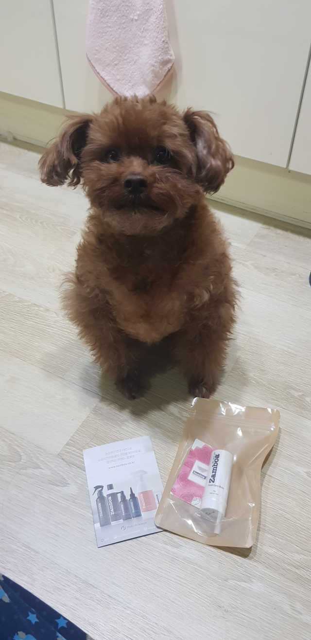 잠보아 풋 케어 밤 리뷰 사진