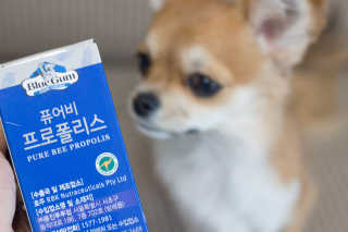 감자야산책가자님이 올린 리뷰 사진 1