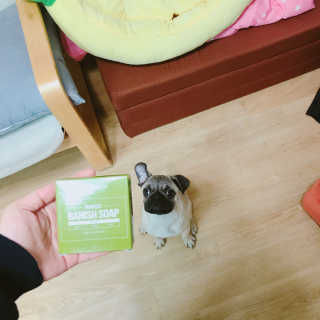 지혜님이 올린 리뷰 사진 2