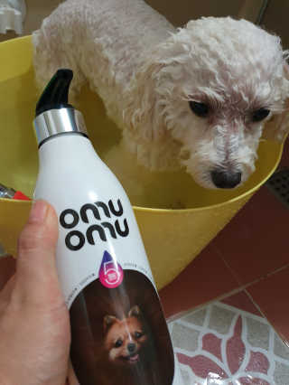 호두맘님이 올린 리뷰 사진 3