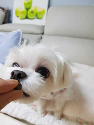 꿀돼지좋아님이 올린 리뷰 사진 1