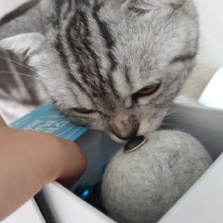 이째님이 올린 리뷰 사진 1