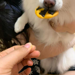 갱긔님이 올린 리뷰 사진 3