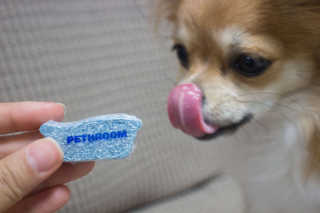 Pethroom 페스룸 PETHROOM DEEP CLEAN BATHBOMB 페스룸 딥클린 배쓰밤 — 5점을 준 리뷰어가 2020년 3월 올린 사용 사진
