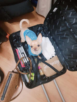 뭅뭅 바디핏레그롤러 종아리 허벅지 하체 마사지기 — 5점을 준 리뷰어가 2019년 11월 올린 사용 사진