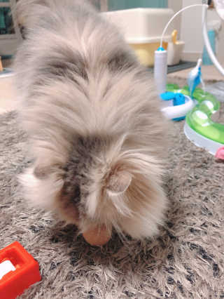 꼬끼오님이 올린 리뷰 사진 2