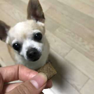 꽃사과님이 올린 리뷰 사진 3