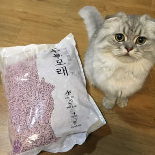 parkjin2님이 올린 리뷰 사진 1