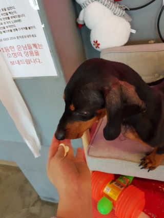 미니이님이 올린 리뷰 사진 3