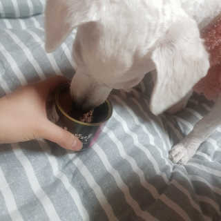 똘이님이 올린 리뷰 사진 1