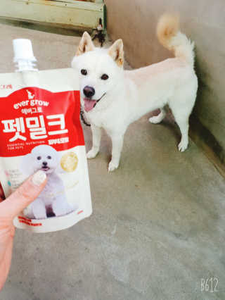 [빙그레] 에버그로 생유산균 1봉（10포입）+펫밀크2팩 — 5점을 준 리뷰어가 2019년 6월 올린 사용 사진