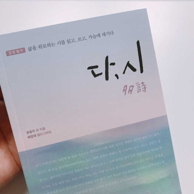 다시 多詩 리뷰 사진