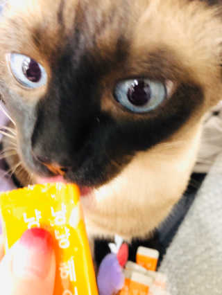VIVI님이 올린 리뷰 사진 2