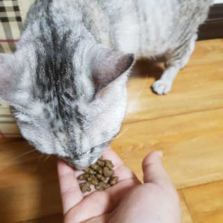 강태정님이 올린 리뷰 사진 3